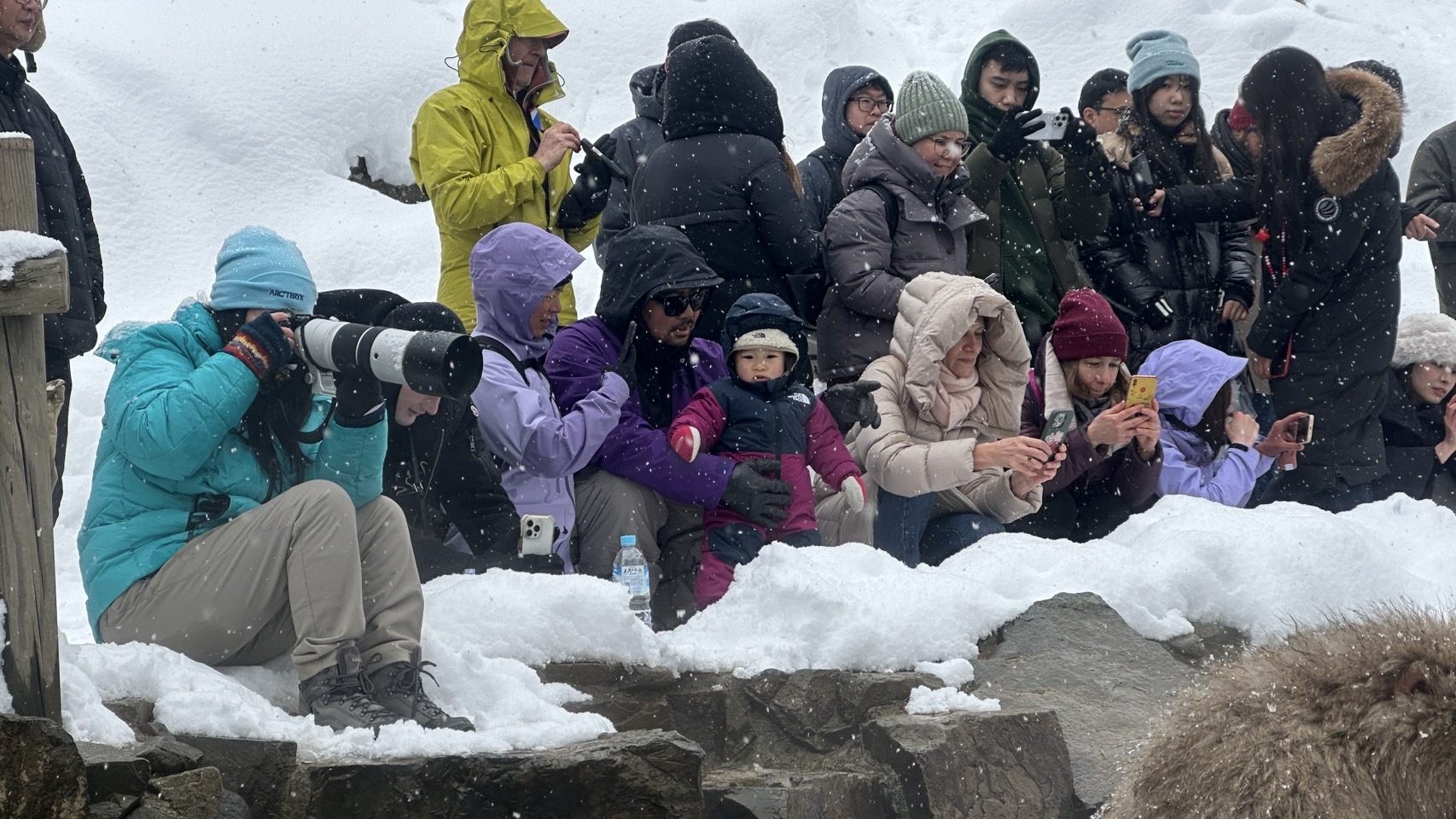 長野県地獄谷を雪が降る中、会員が、撮影している画像