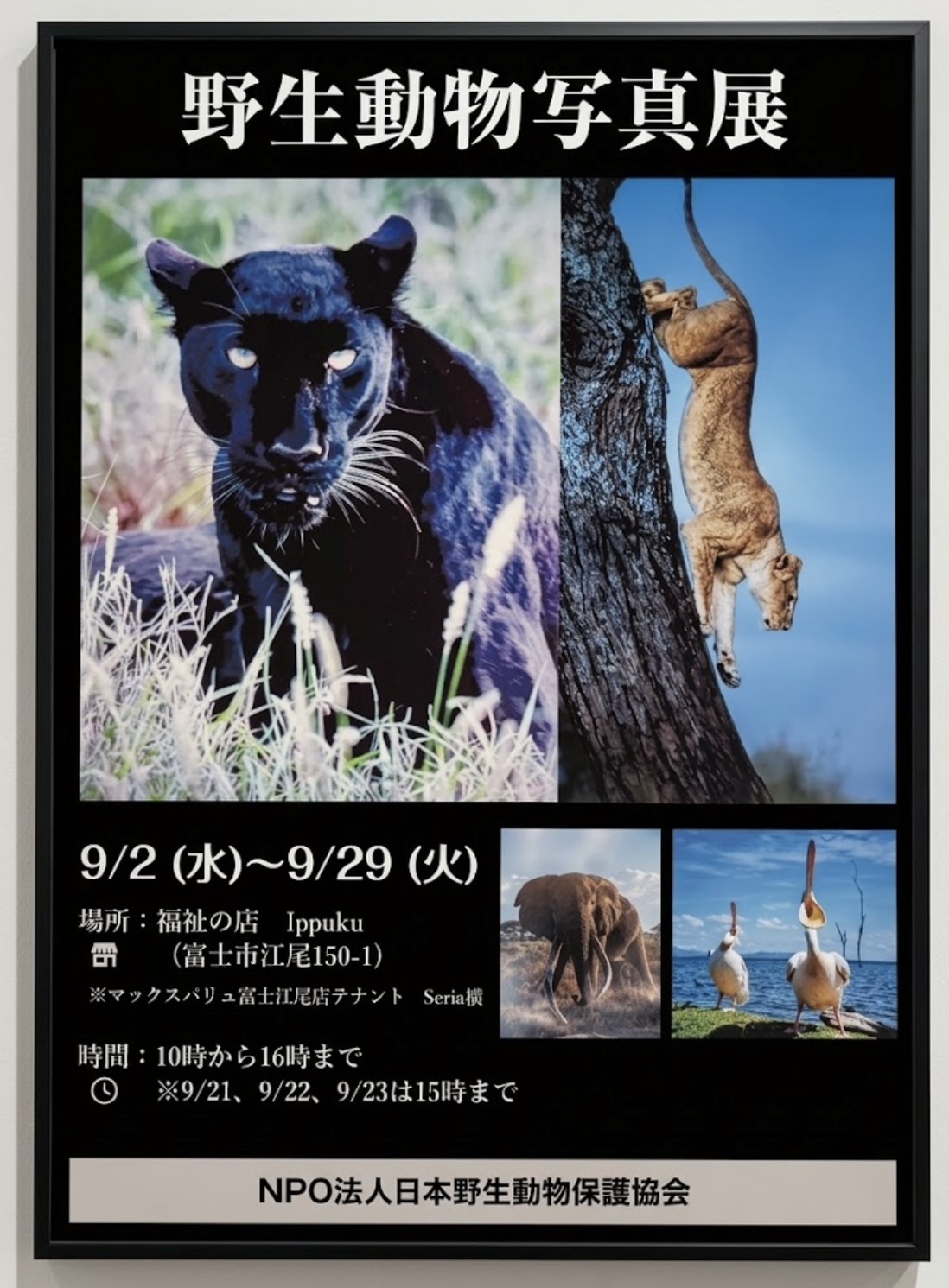 野生動物写真展のポスター