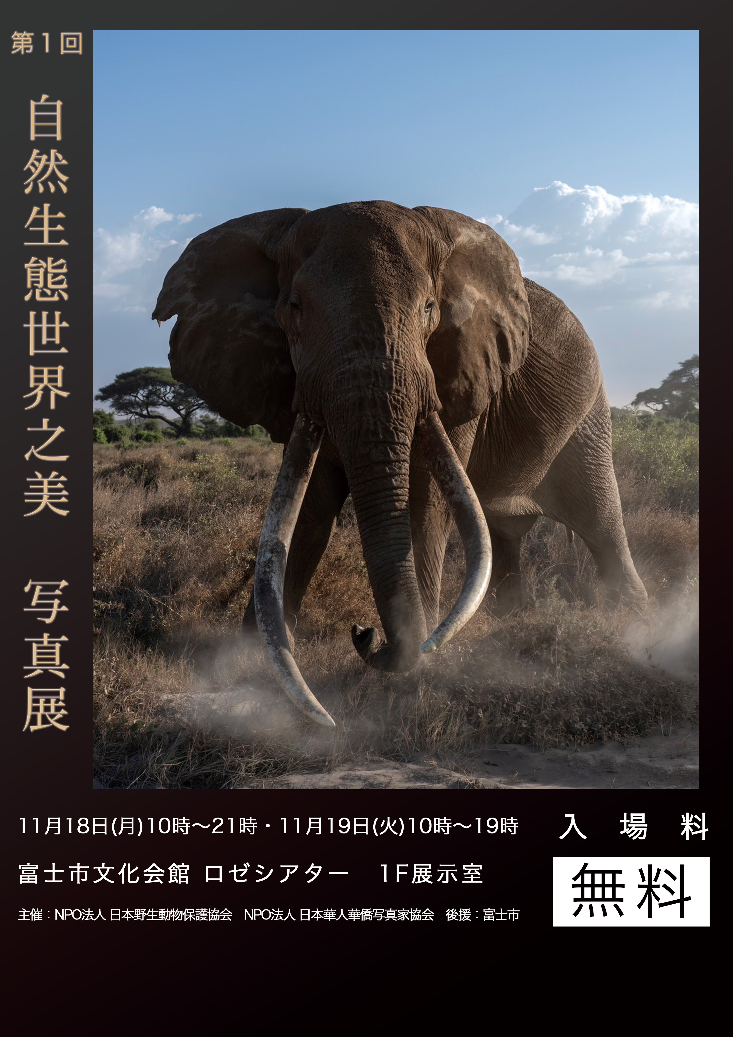 日本野生動物保護協会ポスター