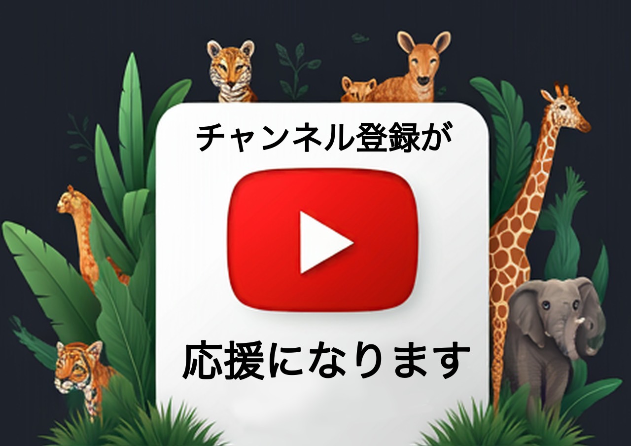 YouTubeチャンネルへ